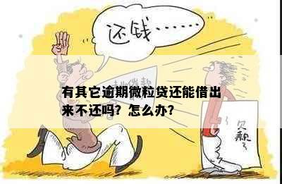 有其它逾期微粒贷还能借出来不还吗？怎么办？