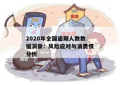 2020年全国逾期人数数据洞察：风险应对与消费惯分析