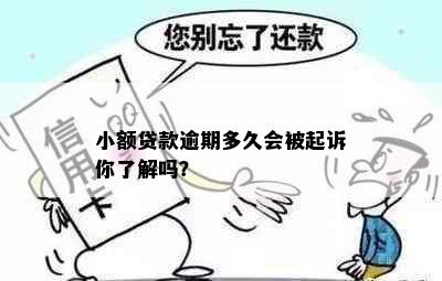 小额贷款逾期多久会被起诉你了解吗？