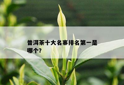 普洱茶十大名寨排名之一是哪个？_普洱茶_tea茶叶频道