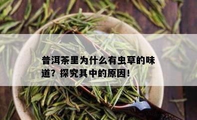 普洱茶里为什么有虫草的味道？探究其中的原因！_普洱茶_tea茶叶频道