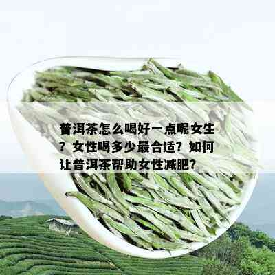 2008年普洱茶价格表图片及价格总览_普洱茶_tea茶叶频道