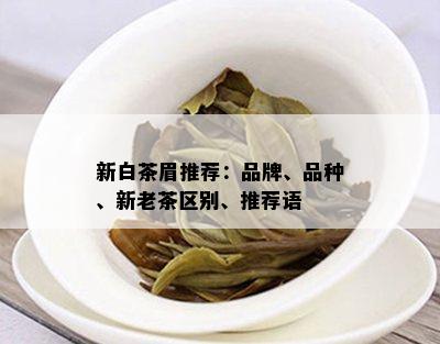 福鼎白茶丸装：泡法、价格及如何泡白茶丸_白茶_tea茶叶频道