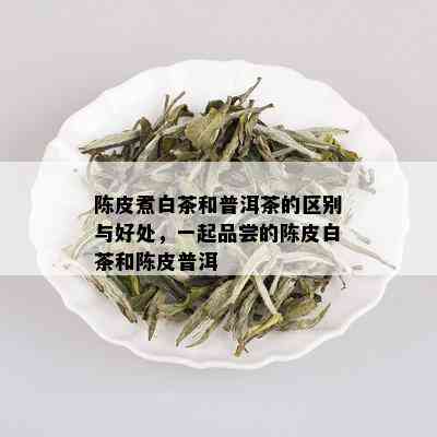 云南古树香竹普洱茶价格及品牌推荐_普洱茶_tea茶叶频道