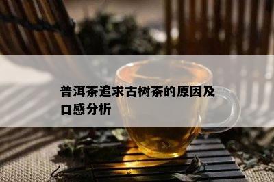 普洱茶追求古树茶的原因及口感分析
