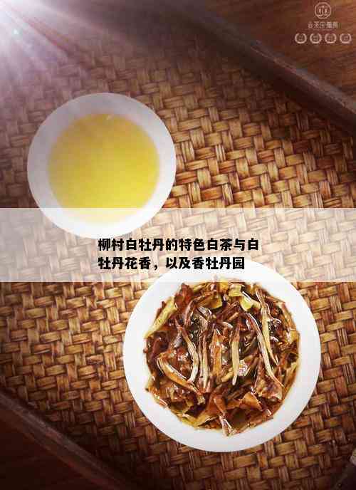 柳村白牡丹的特色白茶与白牡丹花香，以及香牡丹园_白茶_tea茶叶频道