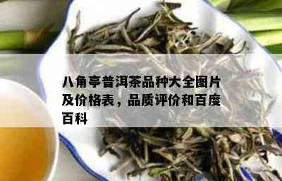 八角亭普洱茶品种大全图片及价格表，品质评价和百度百科_普洱茶_tea