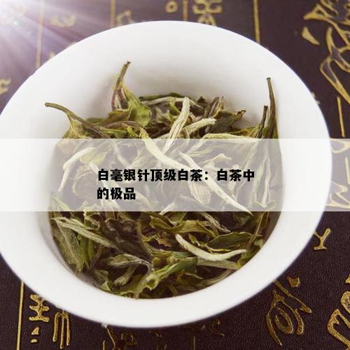 白毫银针顶级白茶：白茶中的极品_白茶_tea茶叶频道
