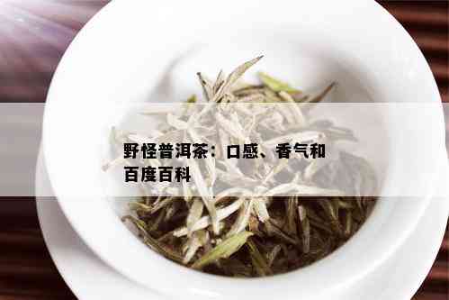 野怪普洱茶：口感、香气和百度百科_普洱茶_tea茶叶频道