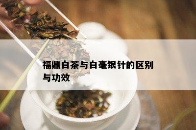 福鼎白茶与白毫银针的区别与功效_白茶_tea茶叶频道