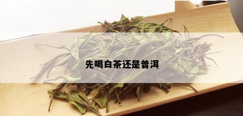 先喝白茶还是普洱