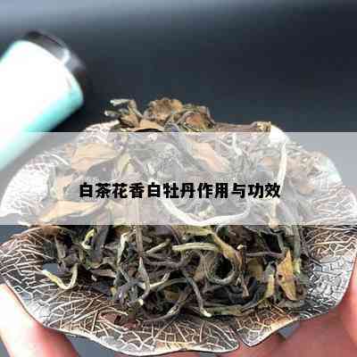 白茶花香白牡丹作用与功效_白茶_tea茶叶频道