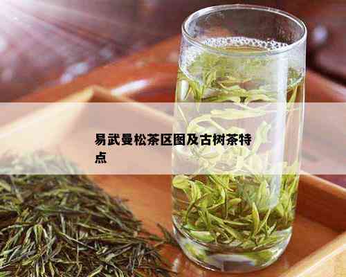 易武曼松茶区图及古树茶特点_普洱茶_tea茶叶频道