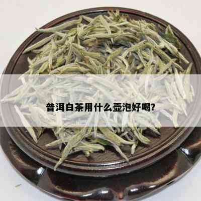 普洱白茶用什么壶泡_普洱茶专题_tea茶叶频道