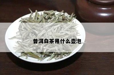 普洱白茶用什么壶泡_普洱茶专题_tea茶叶频道