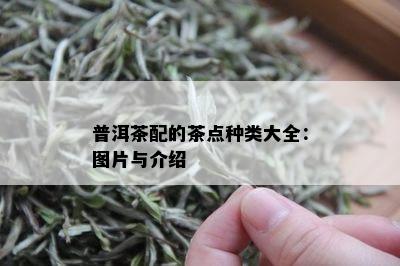 普洱茶配的茶点种类大全：图片与介绍