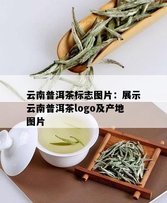 云南普洱茶标志图片：展示云南普洱茶logo及产地图片