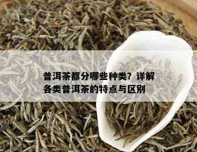 普洱茶都分哪些种类？详解各类普洱茶的特点与区别