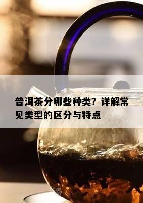 普洱茶分哪些种类？详解常见类型的区分与特点