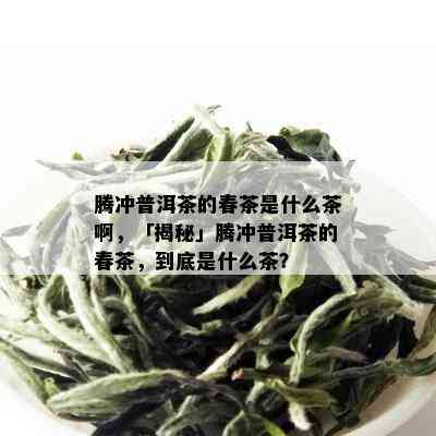 腾冲普洱茶的春茶是什么茶啊，「揭秘」腾冲普洱茶的春茶，到底是什么茶？