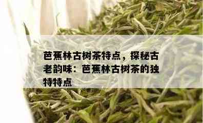 芭蕉林古树茶特点，探秘古老韵味：芭蕉林古树茶的独特特点