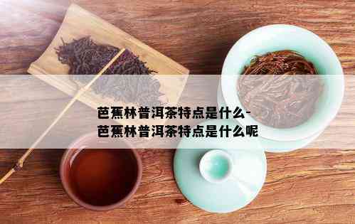 芭蕉林普洱茶特点是什么-芭蕉林普洱茶特点是什么呢