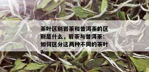 茶叶区别岩茶和普洱茶的区别是什么，岩茶与普洱茶：如何区分这两种不同的茶叶？