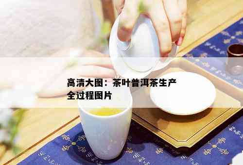 高清大图：茶叶普洱茶生产全过程图片