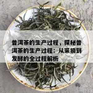 普洱茶的生产过程，探秘普洱茶的生产过程：从采摘到发酵的全过程解析