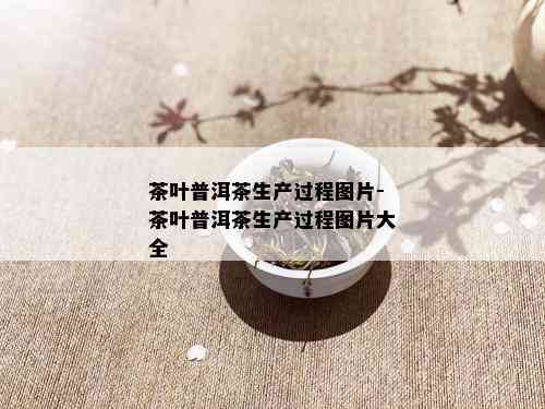 茶叶普洱茶生产过程图片-茶叶普洱茶生产过程图片大全