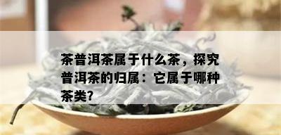 茶普洱茶属于什么茶，探究普洱茶的归属：它属于哪种茶类？