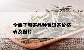 全面了解茶品种普洱茶价格表及图片