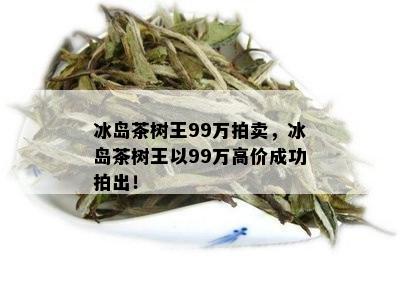 冰岛茶树王99万拍卖，冰岛茶树王以99万高价成功拍出！