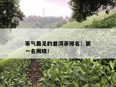 茶气最足的普洱茶排名：之一名揭晓！