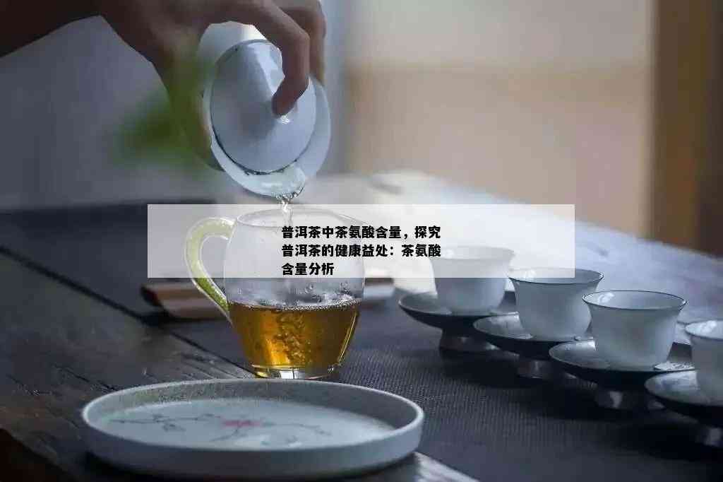 普洱茶中茶氨酸含量，探究普洱茶的健康益处：茶氨酸含量分析