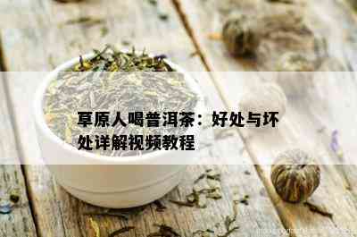 草原人喝普洱茶：好处与坏处详解视频教程