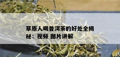 草原人喝普洱茶的好处全揭秘：视频 图片讲解