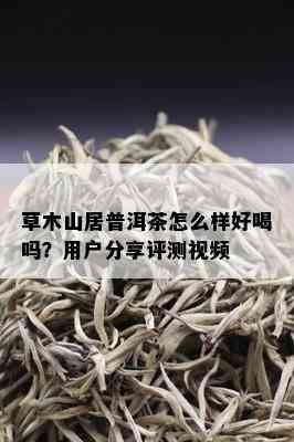 草木山居普洱茶怎么样好喝吗？用户分享评测视频