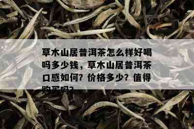 草木山居普洱茶怎么样好喝吗多少钱，草木山居普洱茶口感如何？价格多少？值得购买吗？