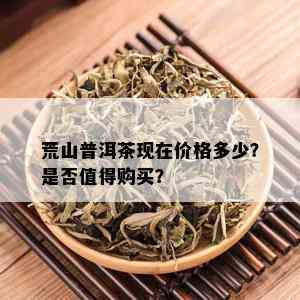 荒山普洱茶现在价格多少？是否值得购买？