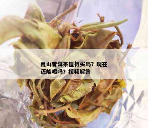 荒山普洱茶值得买吗？现在还能喝吗？视频解答