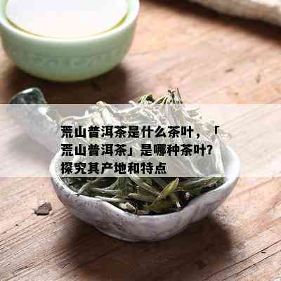 荒山普洱茶是什么茶叶，「荒山普洱茶」是哪种茶叶？探究其产地和特点