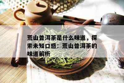 荒山普洱茶是什么味道，探索未知口感：荒山普洱茶的味道解析