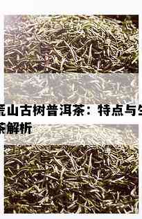 荒山古树普洱茶：特点与生茶解析