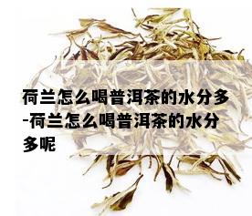 荷兰怎么喝普洱茶的水分多-荷兰怎么喝普洱茶的水分多呢