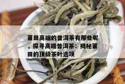 莆田高端的普洱茶有那些呢，探寻高端普洱茶：揭秘莆田的顶级茶叶选项