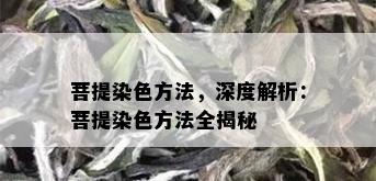 菩提染色方法，深度解析：菩提染色方法全揭秘