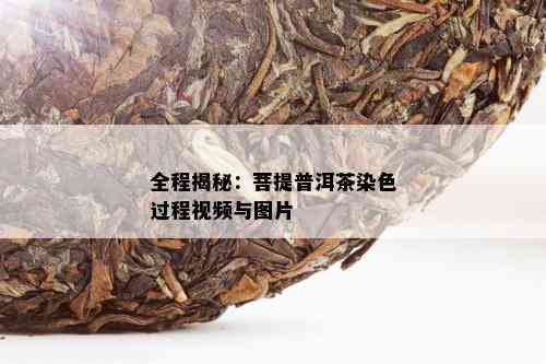 全程揭秘：菩提普洱茶染色过程视频与图片