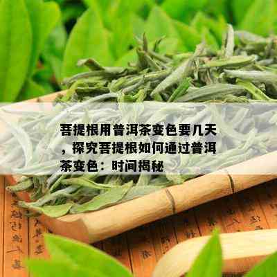 菩提根用普洱茶变色要几天，探究菩提根如何通过普洱茶变色：时间揭秘