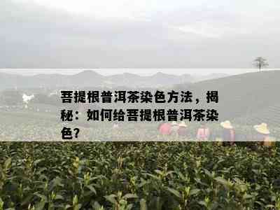 菩提根普洱茶染色方法，揭秘：如何给菩提根普洱茶染色？